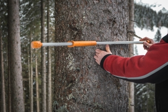 Ein Bild, das Baum, drauen, Person, Winter enthlt.

Automatisch generierte Beschreibung