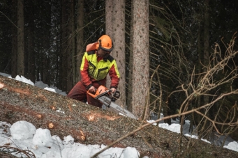 Ein Bild, das drauen, Baum, Person, Kleidung enthlt.

Automatisch generierte Beschreibung